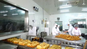 佛山食品車間裝修指南 烘焙食品廠與飲料廠凈化車間的高標(biāo)準(zhǔn)設(shè)計(jì)解析